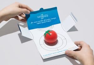 LavOnline- Tomato Splat Direct Mail Marketing Campaign